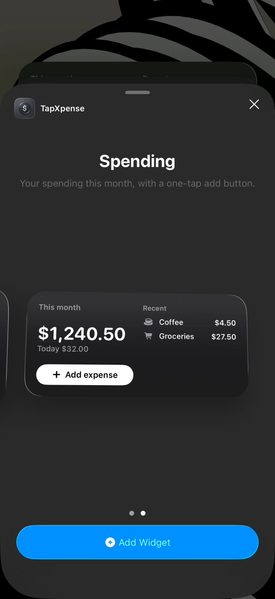 TapXpense Spending widget in the iOS widget gallery